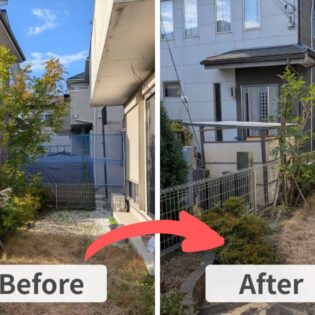 施工前（左）は埼玉県久喜市で上部の枝葉が密集し隣地に越境しているシマトネリコ。施工後（右）は高さを抑え風通しが良くコンパクトな姿に改善された様子。
