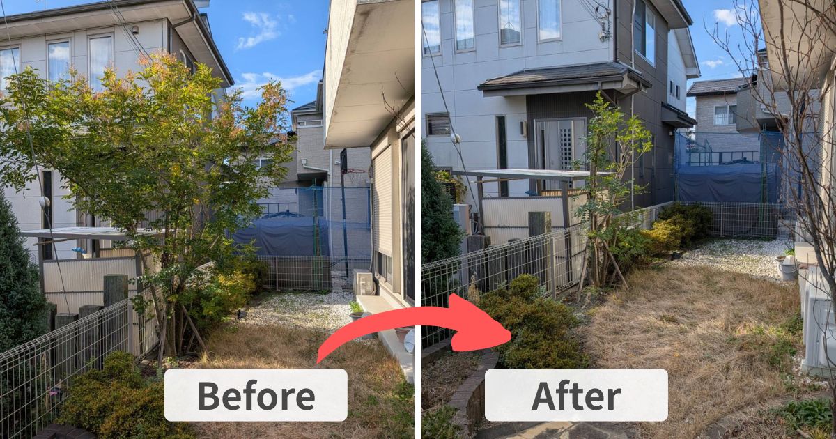 施工事例：久喜市でシマトネリコの剪定｜加須市・幸手市の植木屋【中島造園】