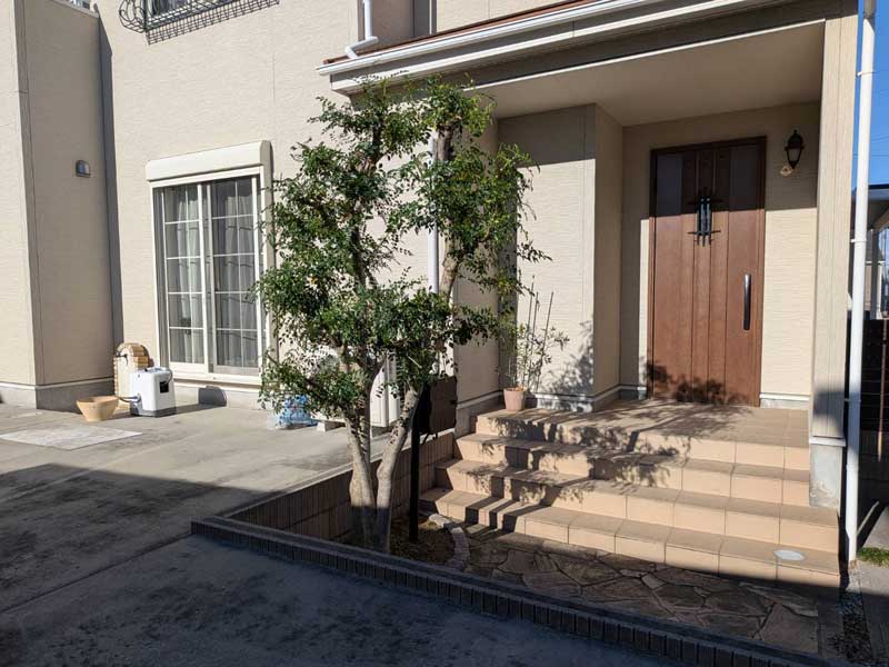 高さを約2mに切り戻し、3本立ちの株立ちの幹のラインが見えるように整えたシマトネリコ。ポスト周りの枝も払われ、玄関アプローチがすっきりとした施工後の状態。