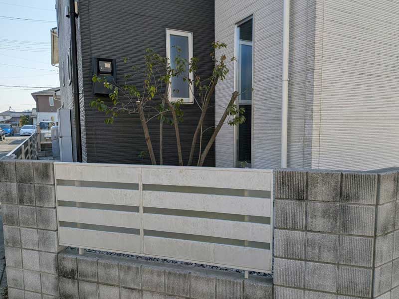 高さを約2mに調整したソヨゴ。株立ちの幹が見えるようになり、道路側への枝の張り出しを抑えた施工後の状態。