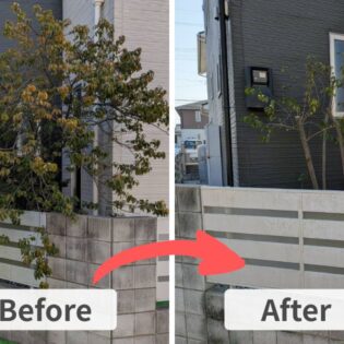 施工前は幸手市のフェンス沿いで約3mまで伸びたソヨゴ。施工後は高さを約2mに抑え、道路側への枝の張り出しを整えた様子。